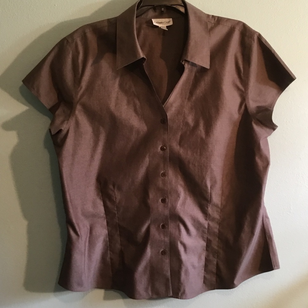 Coldwater Creek Chocolate Button-Up Blouse